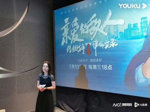 顶级律师解析真实婚姻家事案件 纪录片 亲爱的敌人 热播