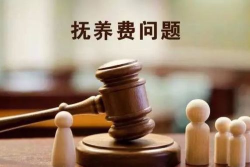 鹤山男子离婚后未如约支付抚养费被起诉 法官调解发现