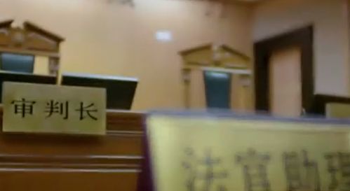一男子以 女儿非亲生 诉讼离婚,法院一审驳回,女方提出要房产