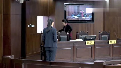 离婚律师 客户对罗鹂大吼大叫,罗鹂很生气