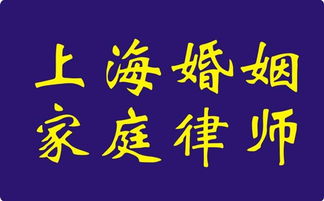 图 上海 婚姻律师咨询 房产分割 子女抚养权争取 专业律师团对 上海法律咨询