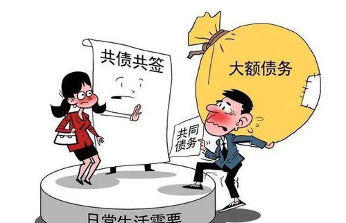 北京离婚律师 怎么才算是 家庭日常生活需要 所负的债务