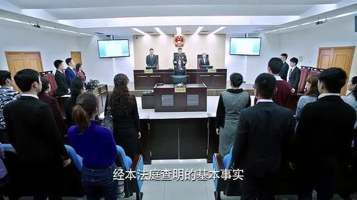 富婆离婚案 一亿三千万财产分割与律师的职业机遇